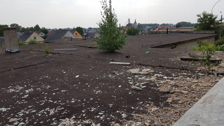 Przetwórnia “Sadki”, Sadki, województwo kujawsko-pomorskie - zdjęcie 5