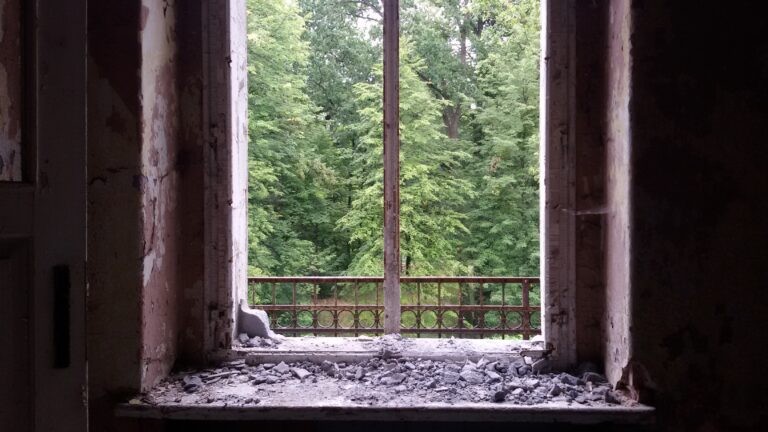 OPUSZCZONY PAŁAC W BARANOWICACH, Baranowice, województwo śląskie - zdjęcie 1