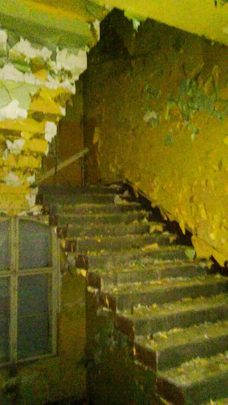 Opuszczony szpital wirecki, Ruda Śląska, województwo śląskie - relacja z 07.2017, zdjęcie 3