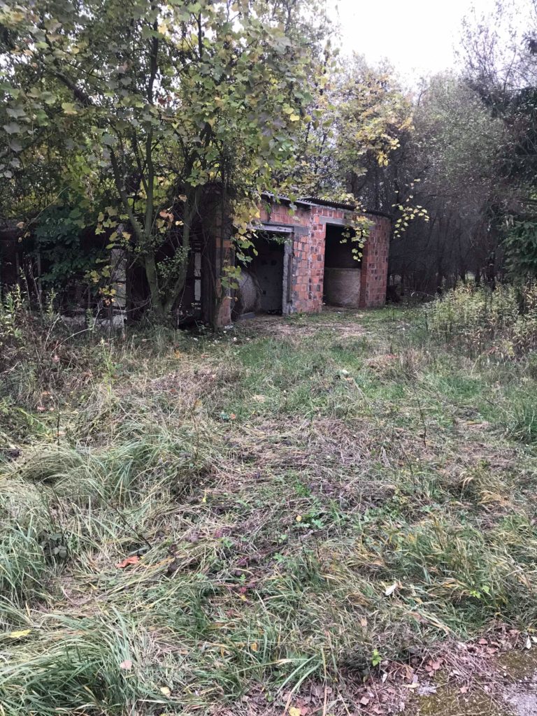 Dawne PGR “Hala Meneliskowa”, Kozłowo, województwo kujawsko-pomorskie - zdjęcie 2