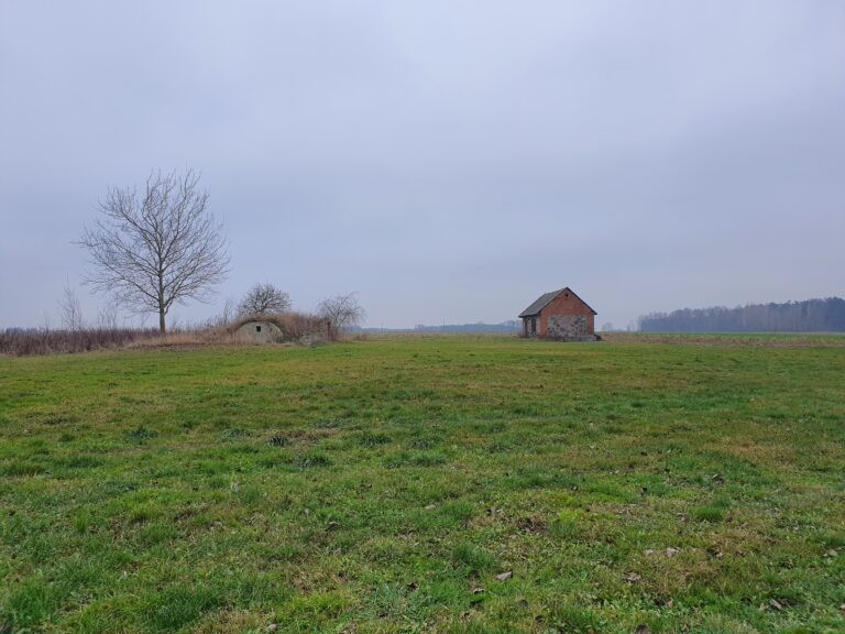 Opuszczone domy, piwniczki i stodoła, Zaliwie-Szpinki, województwo mazowieckie - zdjęcie 2