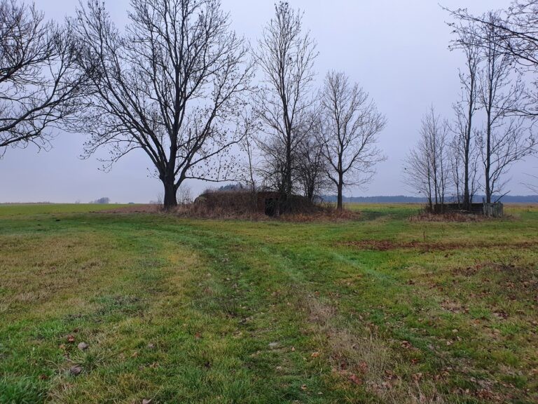 Opuszczone domy, piwniczki i stodoła, Zaliwie-Szpinki, województwo mazowieckie - zdjęcie 1