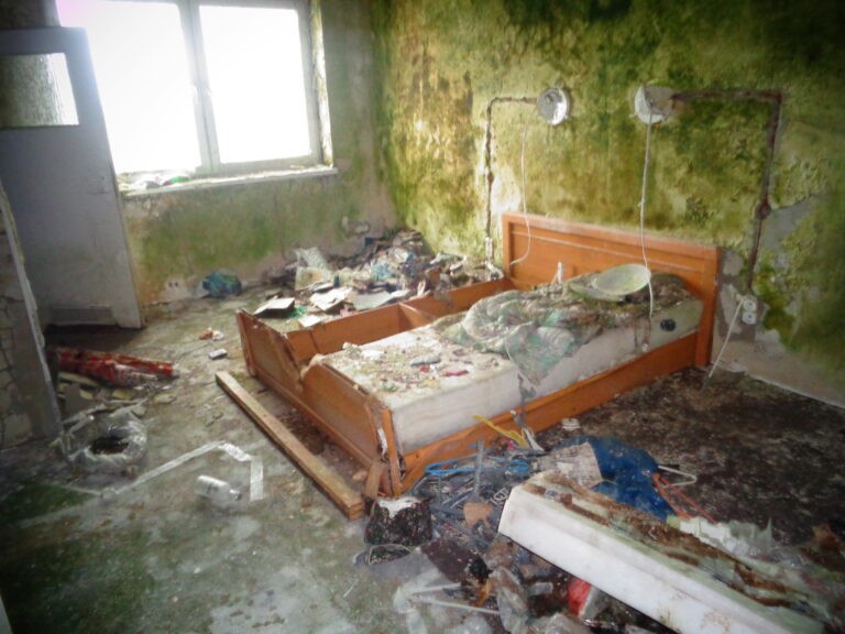 Sala weselna Bagatela, Gościniec, województwo łódzkie - zdjęcie 6