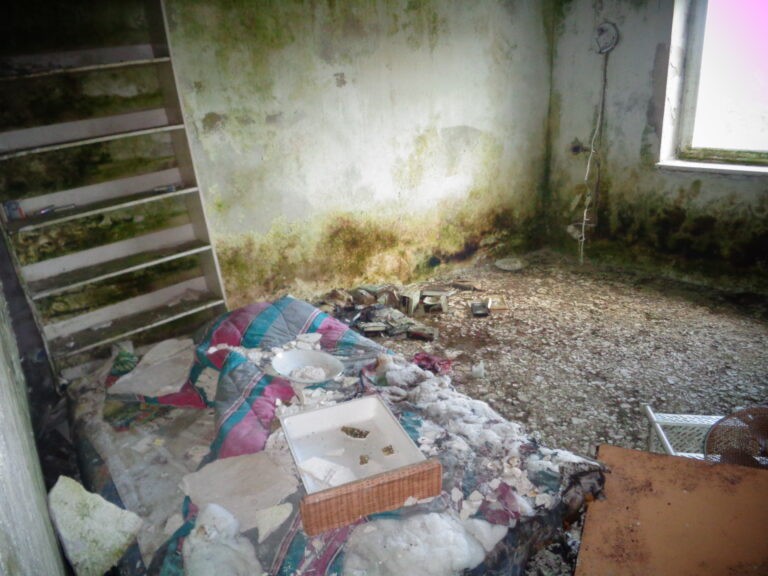 Sala weselna Bagatela, Gościniec, województwo łódzkie - zdjęcie 7