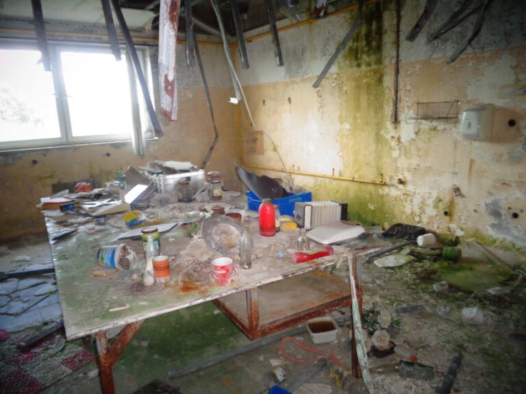 Sala weselna Bagatela, Gościniec, województwo łódzkie - zdjęcie 4