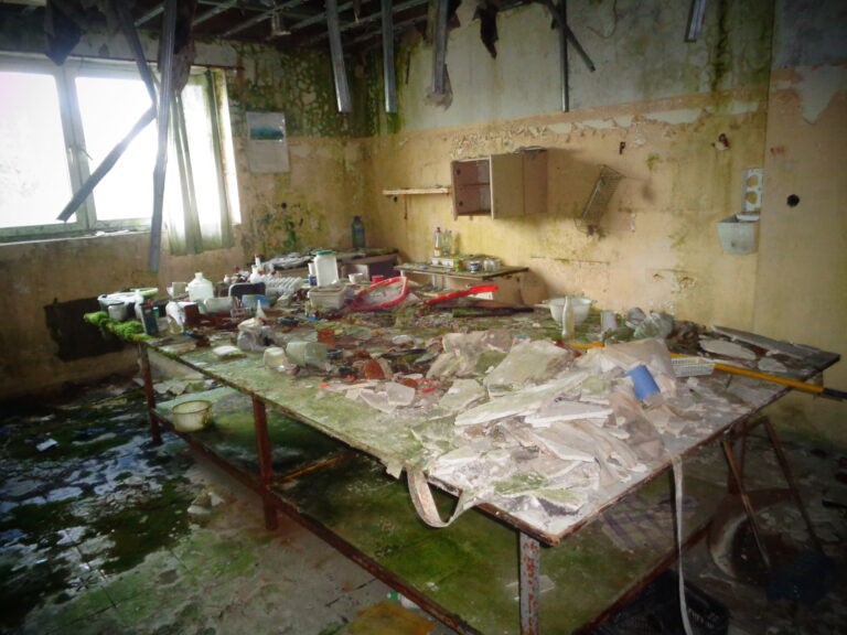 Sala weselna Bagatela, Gościniec, województwo łódzkie - zdjęcie 3