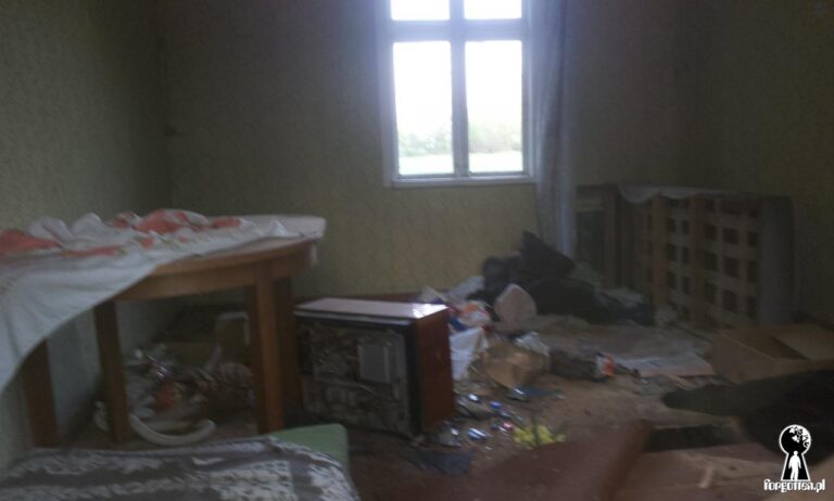 Chata, Wygoda, województwo łódzkie - relacja z 08.2015, zdjęcie 7