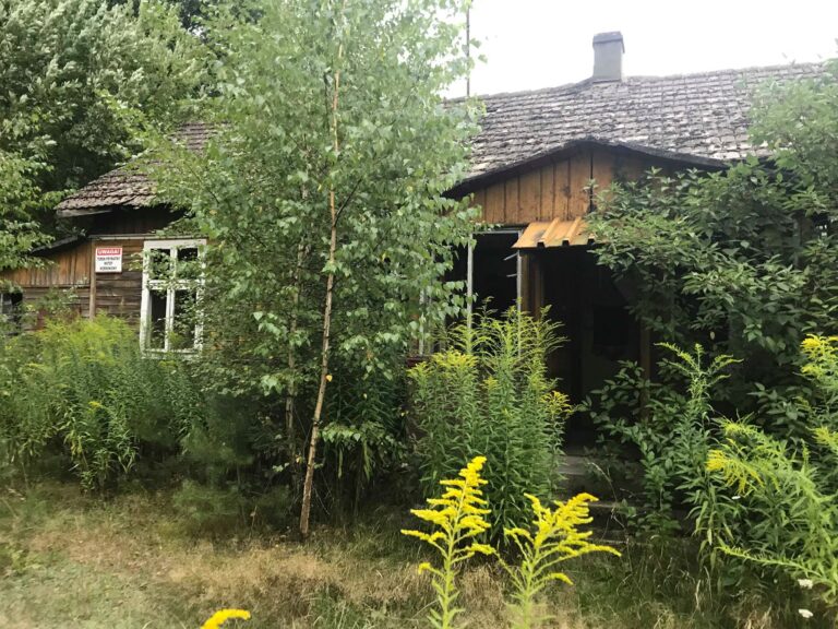Chata, Wygoda, województwo łódzkie - relacja z 08.2015, zdjęcie 6
