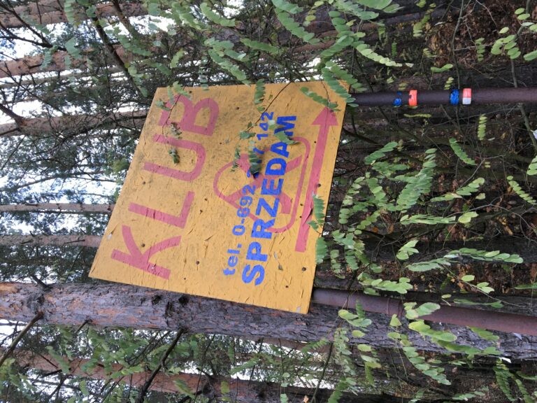 Klub X, Ojrzanów, województwo mazowieckie - relacja z 11.2019, zdjęcie 2