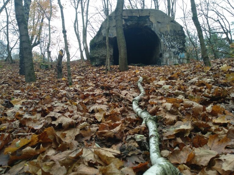 Fort VII im. Tadeusza Kościuszki, Toruń, województwo kujawsko-pomorskie - relacja z 11.2019, zdjęcie 9