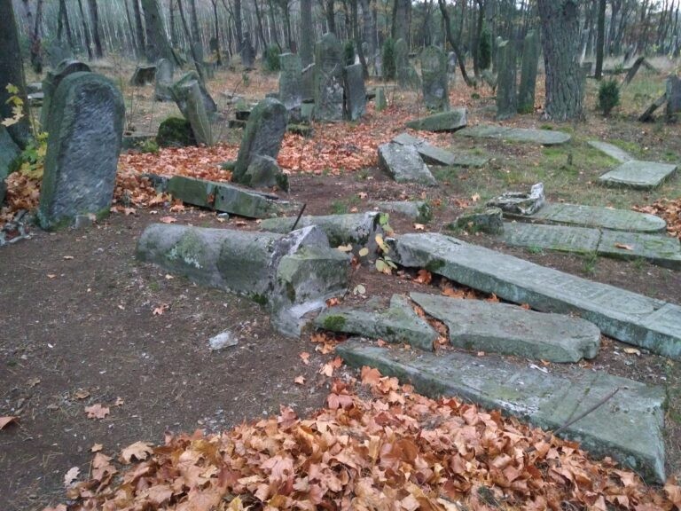 Cmentarz Żydowski, Karczew, województwo mazowieckie - zdjęcie 2