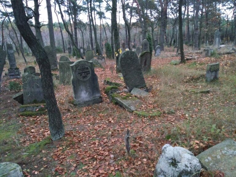 Cmentarz Żydowski, Karczew, województwo mazowieckie - zdjęcie 3