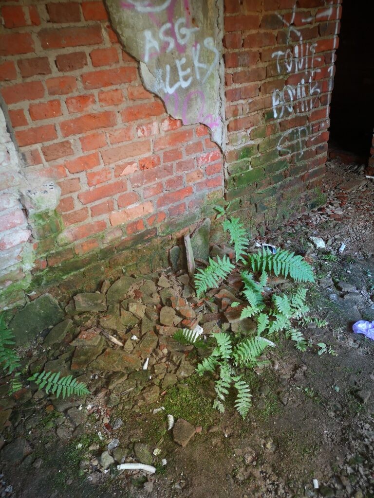 Opuszczony sierociniec, Łódź, województwo łódzkie - relacja z 11.2019, zdjęcie 2