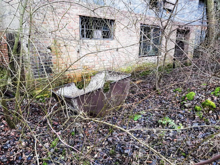 Stara cegielnia, Perzyny, województwo wielkopolskie - relacja z 12.2019, zdjęcie 2