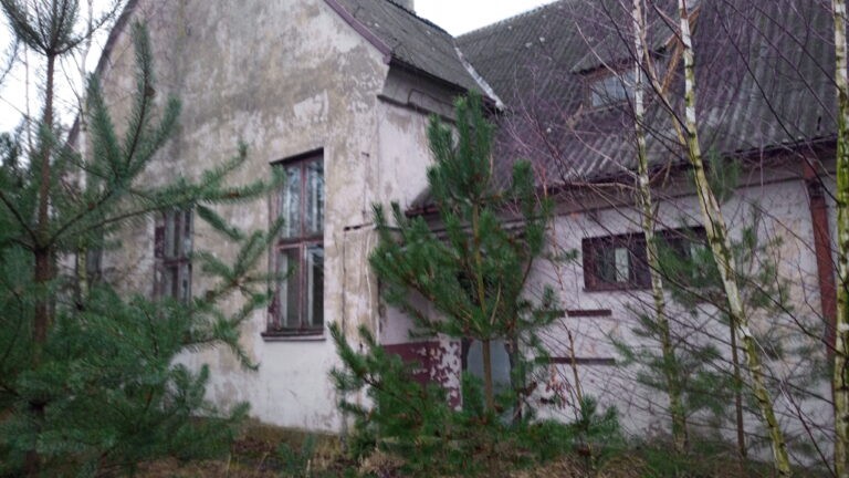 Szkoła Podstawowa w Borowej, Borowa, województwo łódzkie - zdjęcie 2