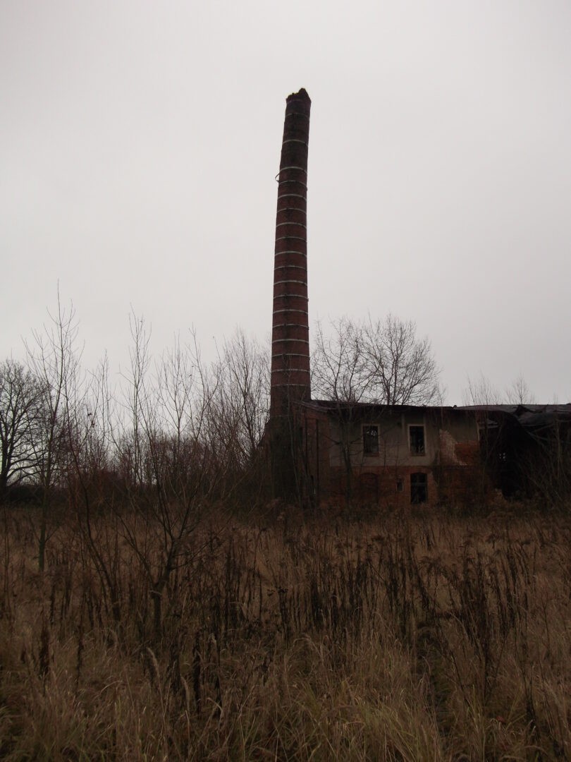 Stara Cegielnia, Kobylice, opolskie — zdjęcie 5