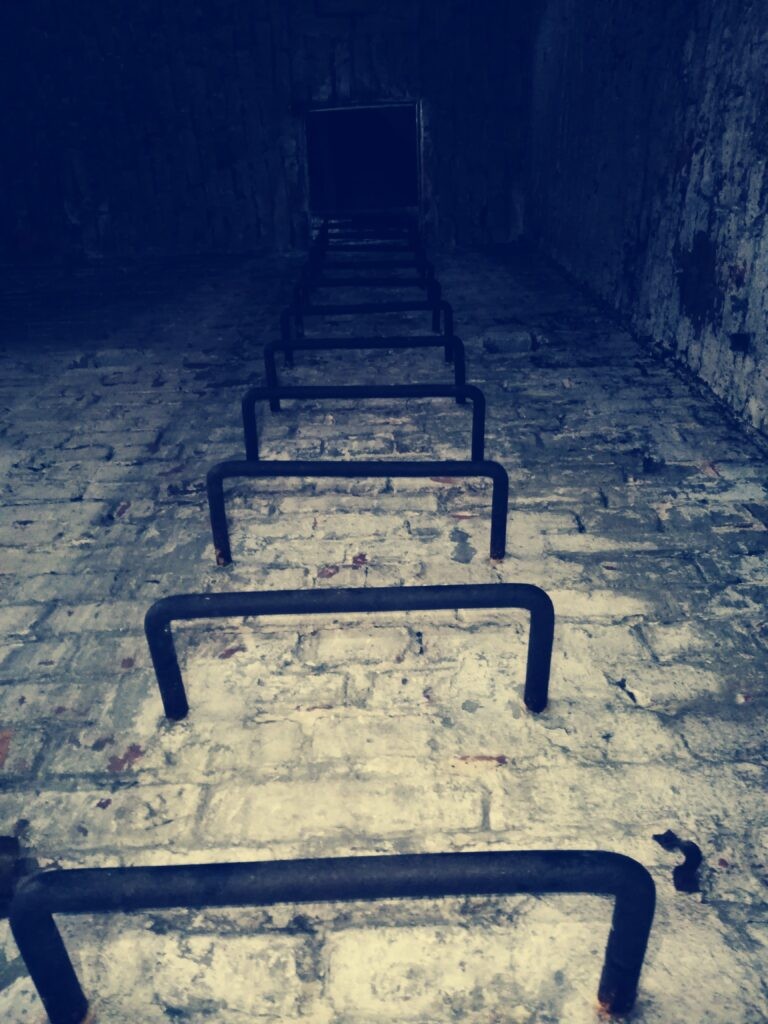 Pamotex, Pabianice, województwo łódzkie - relacja z 12.2019, zdjęcie 4