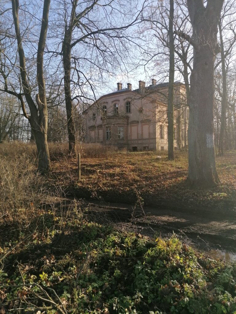 Opuszczony pałac w Zawiszy, Węgrzynice, województwo lubuskie - relacja z 12.2019, zdjęcie 8