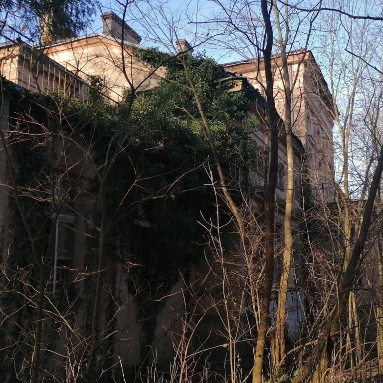 Opuszczony pałac w Zawiszy, Węgrzynice, województwo lubuskie - relacja z 12.2019, zdjęcie 6