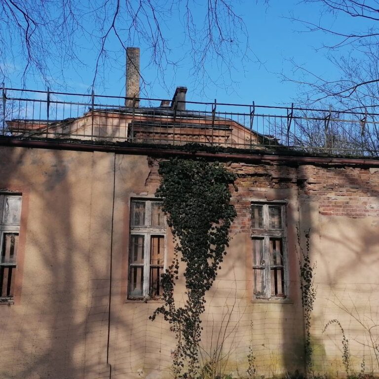 Opuszczony pałac w Zawiszy, Węgrzynice, województwo lubuskie - relacja z 12.2019, zdjęcie 5