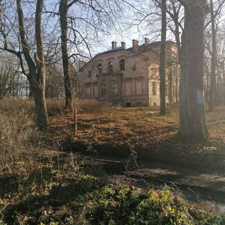 Opuszczony pałac w Zawiszy, Węgrzynice, województwo lubuskie - relacja z 12.2019, zdjęcie 3