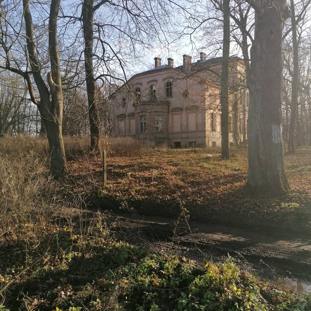 Opuszczony pałac w Zawiszy, Węgrzynice, lubuskie — zdjęcie 3