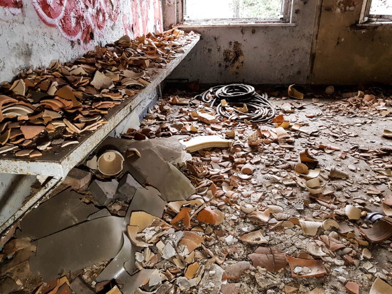 Instytut genetyki roślin, Poznań, województwo wielkopolskie - relacja z 12.2019, zdjęcie 9
