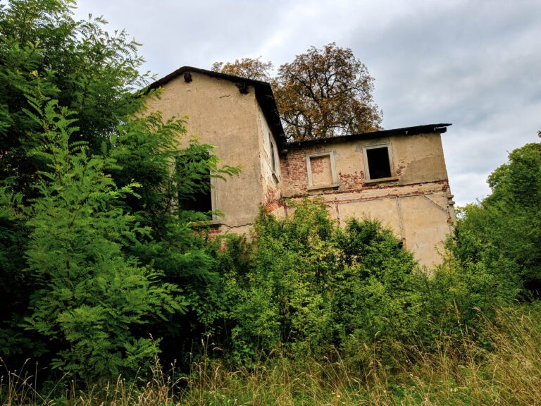 Opuszczony Pałac, Pawłowo Skockie, województwo wielkopolskie - relacja z 08.2019, zdjęcie 9