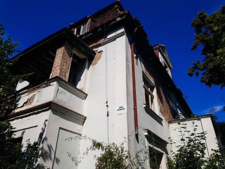 Pałac w przylepkach, Manieczki, województwo wielkopolskie - relacja z 09.2019, zdjęcie 6