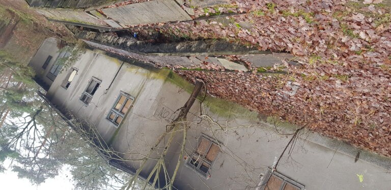 Sanatorium neuropsychiatrii dziecięcej, Nowe Czarnowo, województwo zachodniopomorskie - relacja z 12.2019, zdjęcie 1