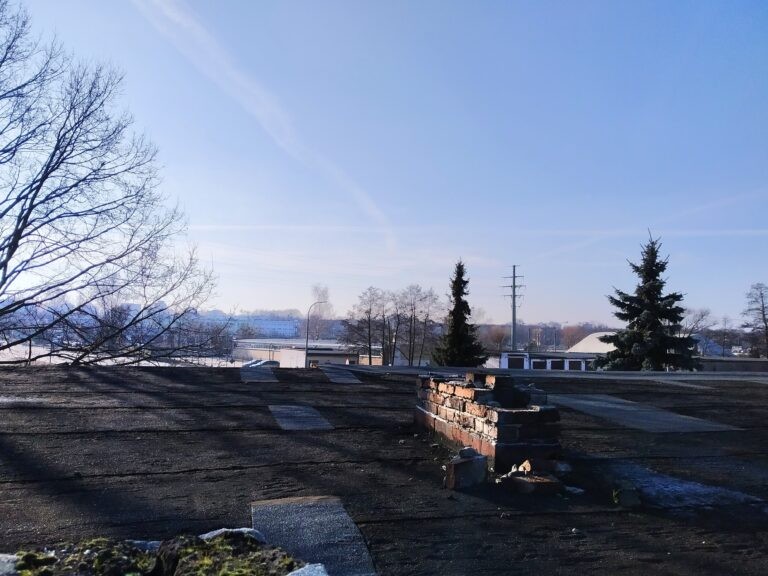 Biały Domek, Tychy, województwo śląskie - relacja z 01.2020, zdjęcie 8