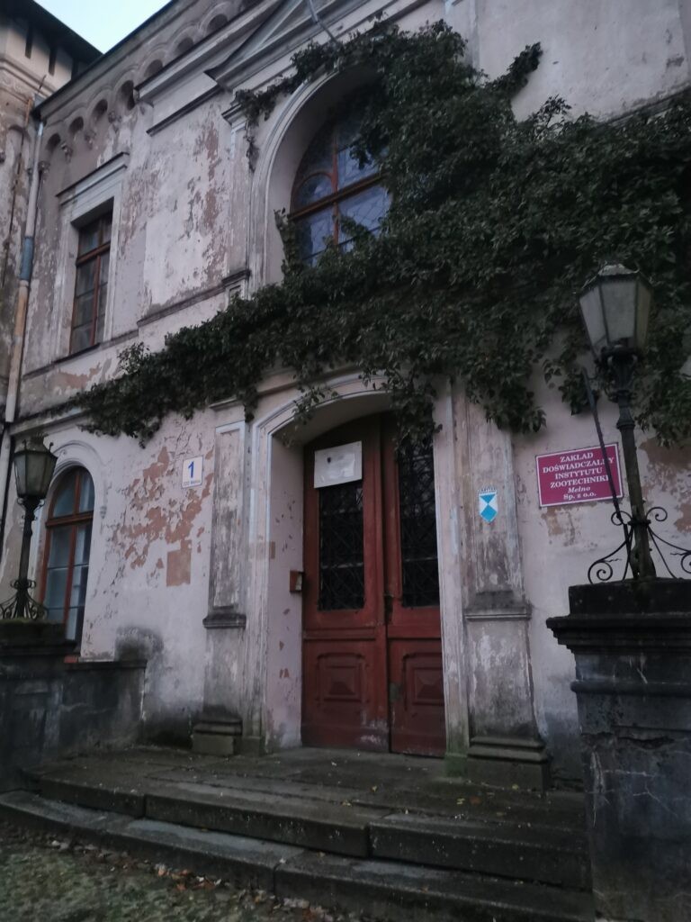 Mełno zespół pałacowo – parkowy, Mełno, województwo kujawsko-pomorskie - zdjęcie 2