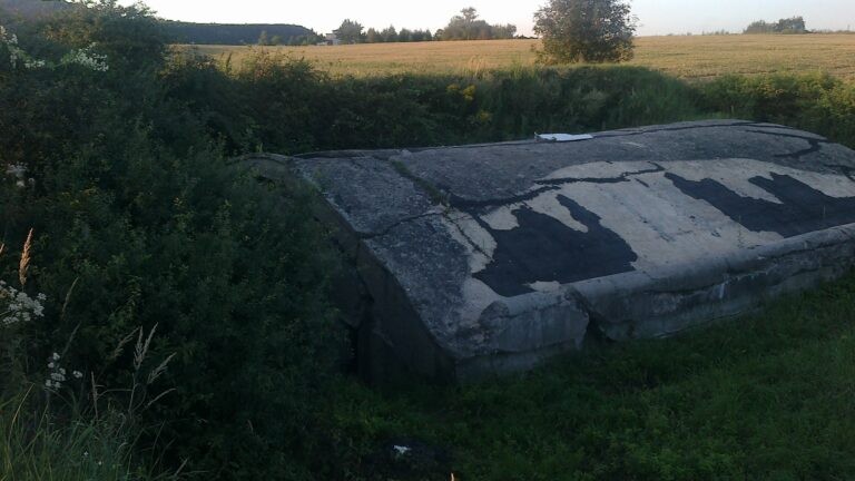 Prochownia, Pszów, województwo śląskie - zdjęcie 4