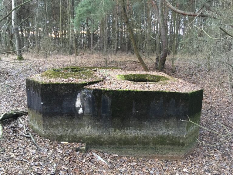 Poniemieckie bunkry Chorzyna, Chorzyna, województwo łódzkie - relacja z 01.2020, zdjęcie 5
