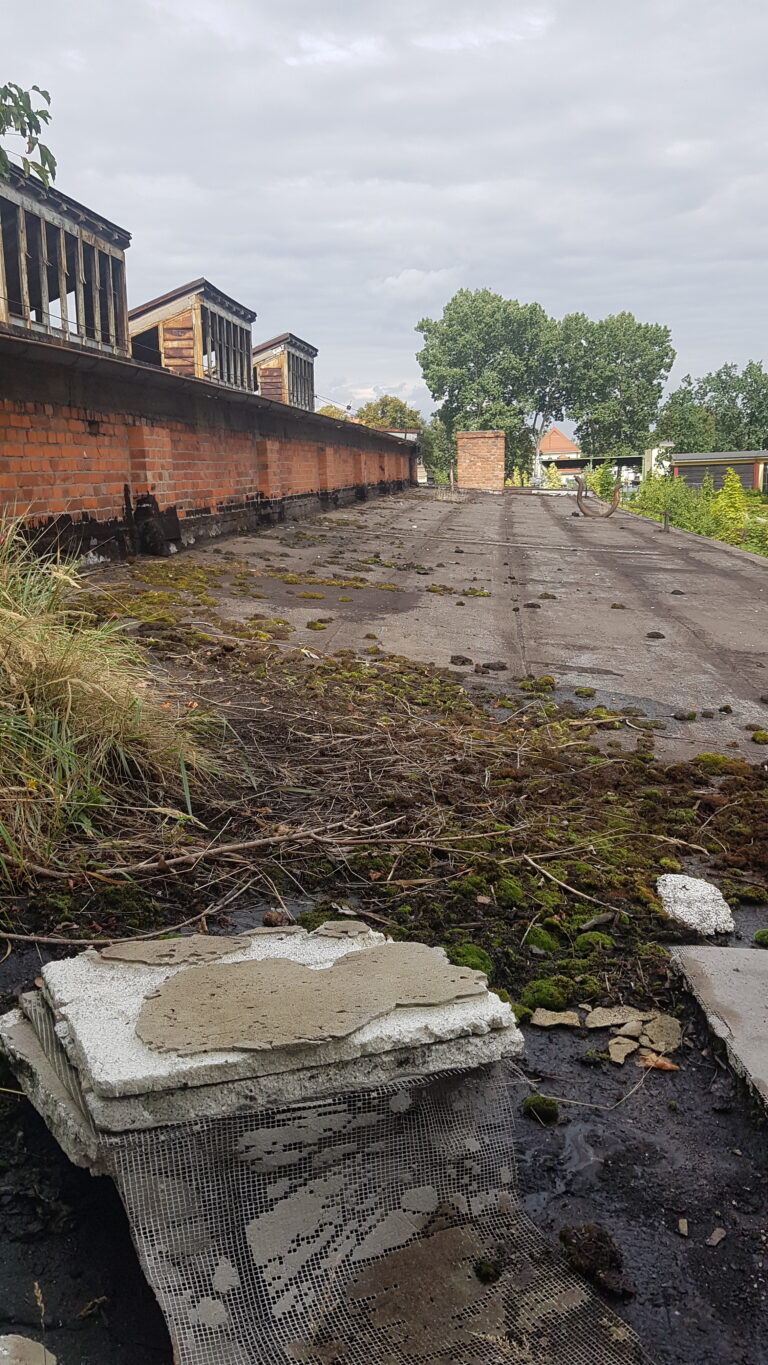 Jedna z hal Makrum, Bydgoszcz, województwo kujawsko-pomorskie - zdjęcie 5