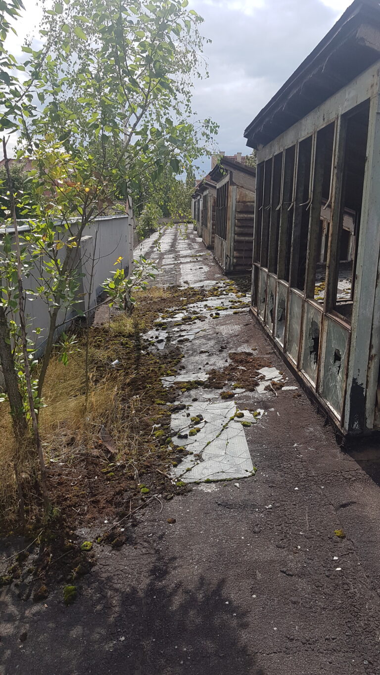Jedna z hal Makrum, Bydgoszcz, województwo kujawsko-pomorskie - zdjęcie 4