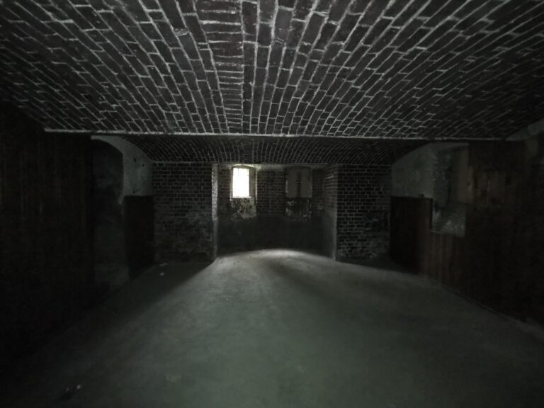 Pałac w Mojej Woli, Kolonia Lipska, województwo wielkopolskie - relacja z 11.2019, zdjęcie 12