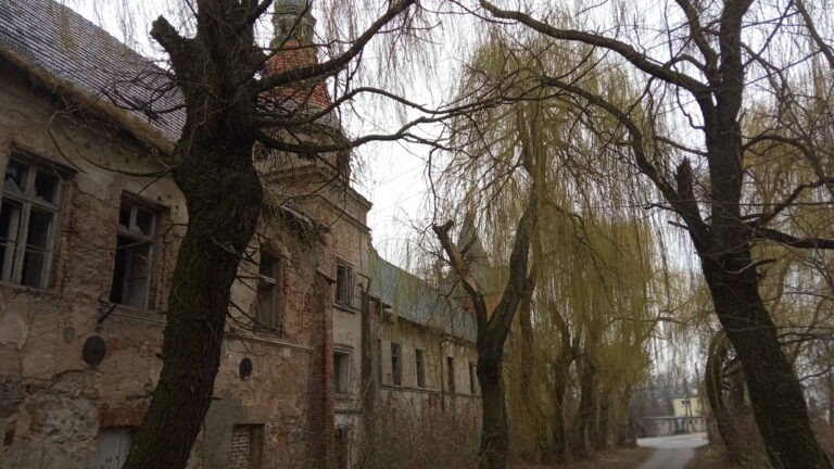 Opuszczony Zamek, Łąka Prudnicka, województwo opolskie - relacja z 03.2020, zdjęcie 6