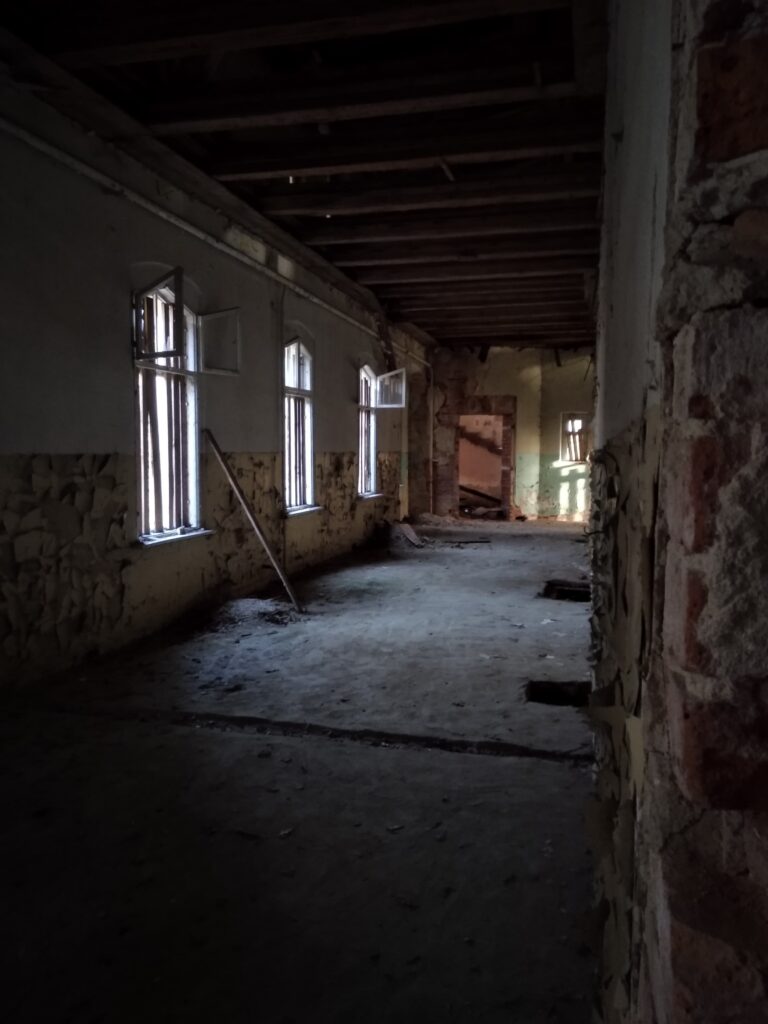 Pałac Sybilli w Szczodrem, Szczodre, województwo dolnośląskie - relacja z 03.2020, zdjęcie 4