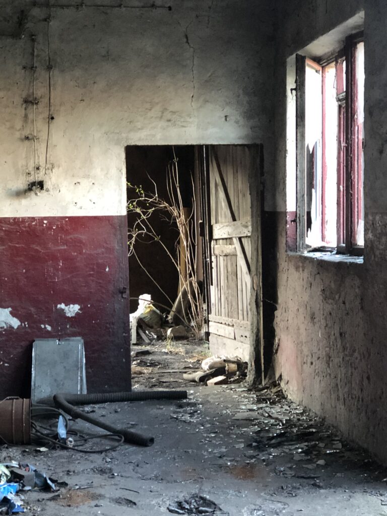 Tuczarnia trzody chlewnej, Mileszewy, województwo kujawsko-pomorskie - relacja z 03.2020, zdjęcie 18