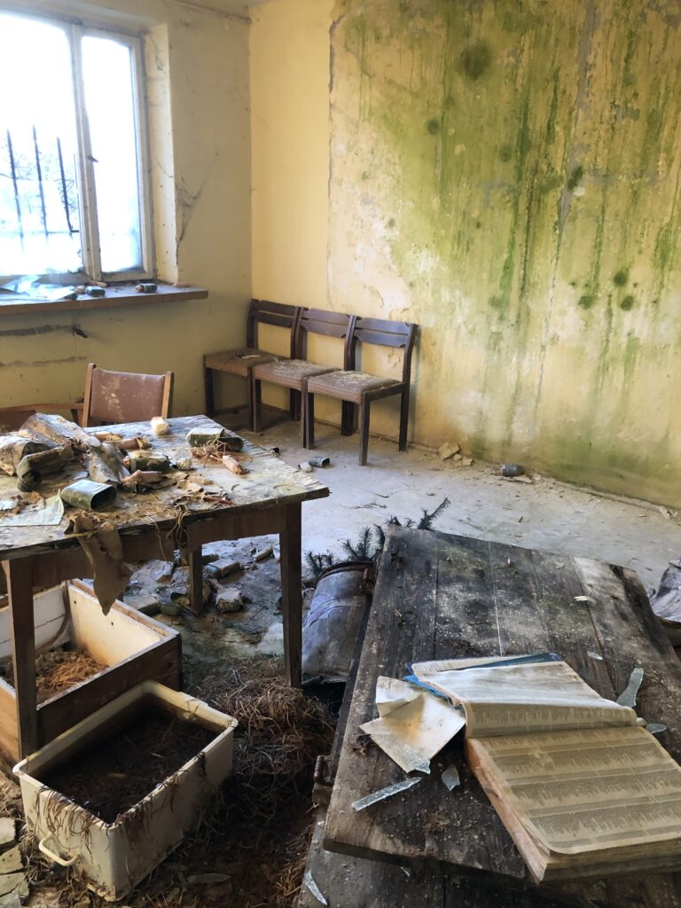 Tuczarnia trzody chlewnej, Mileszewy, województwo kujawsko-pomorskie - relacja z 03.2020, zdjęcie 16