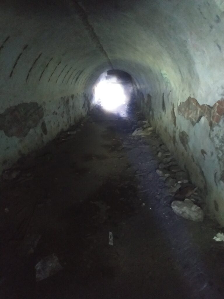 Fort VII Cybulice, Cybulice Małe, województwo mazowieckie - relacja z 03.2020, zdjęcie 2