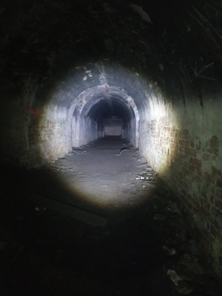 Fort VII Cybulice, Cybulice Małe, województwo mazowieckie - relacja z 03.2020, zdjęcie 3