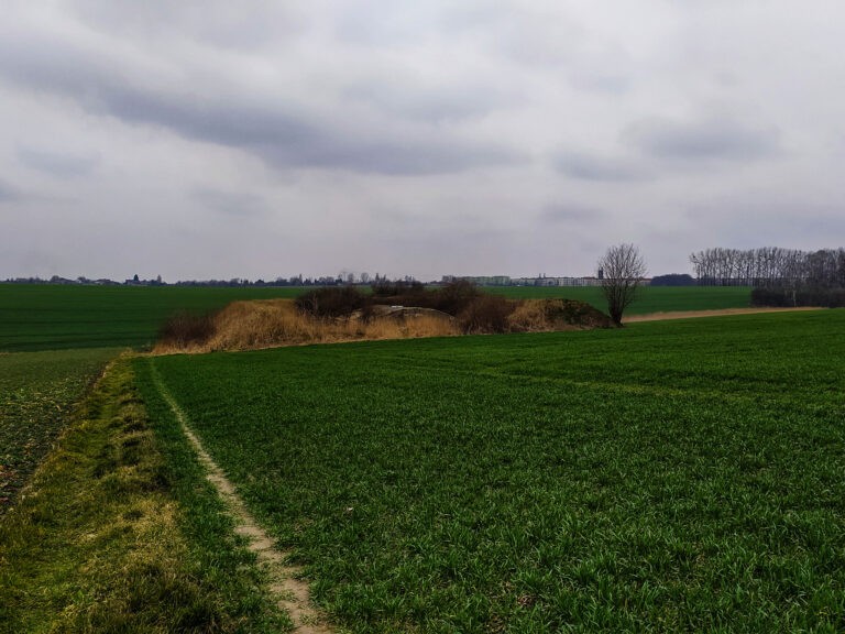 Prochownia, Pszów, województwo śląskie - relacja z 03.2020, zdjęcie 8