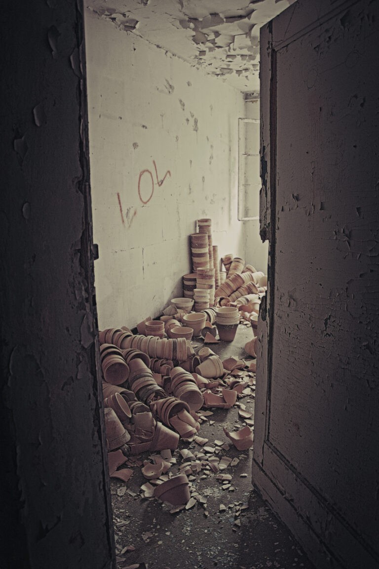 Instytut genetyki roślin, Poznań, województwo wielkopolskie - relacja z 09.2016, zdjęcie 15