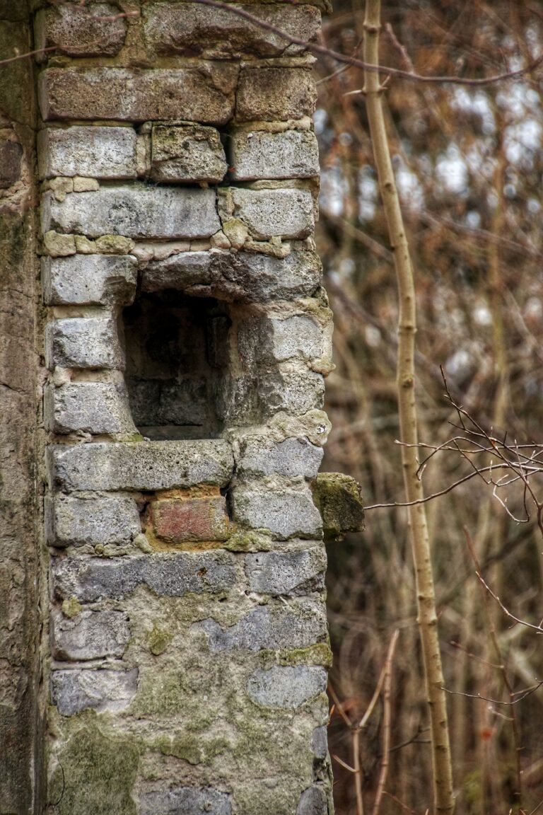 Ruiny domu, Krzeszowice, województwo małopolskie - zdjęcie 9
