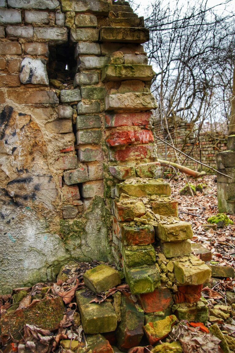 Ruiny domu, Krzeszowice, województwo małopolskie - zdjęcie 8