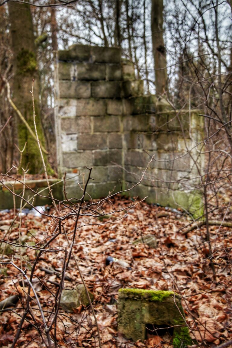 Ruiny domu, Krzeszowice, województwo małopolskie - zdjęcie 7