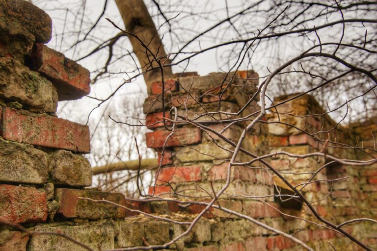 Ruiny domu, Krzeszowice, województwo małopolskie - zdjęcie 4