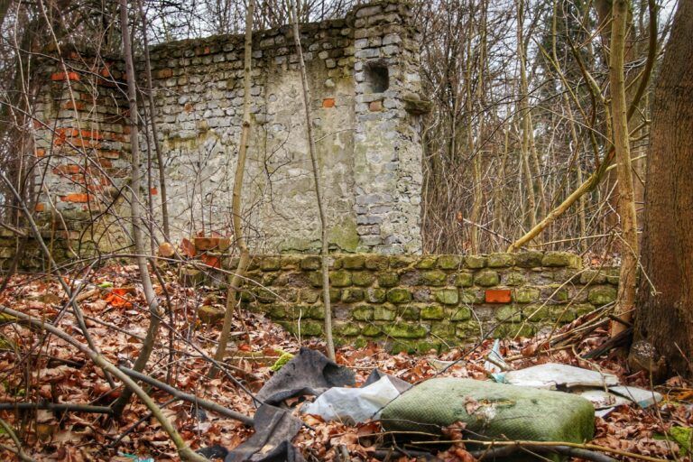 Ruiny domu, Krzeszowice, województwo małopolskie - zdjęcie 3